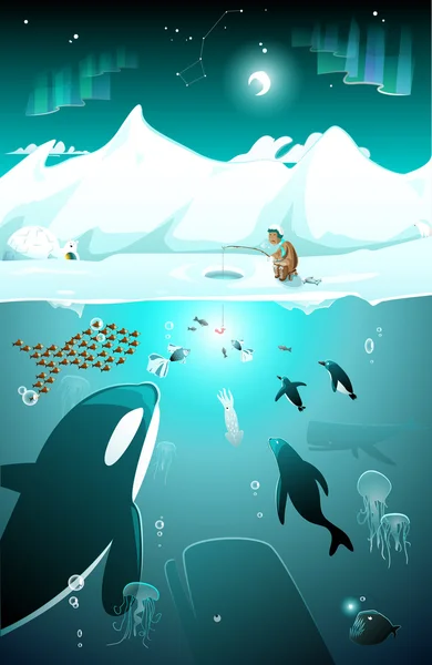 Marine underwater arctic life — Stock Vector