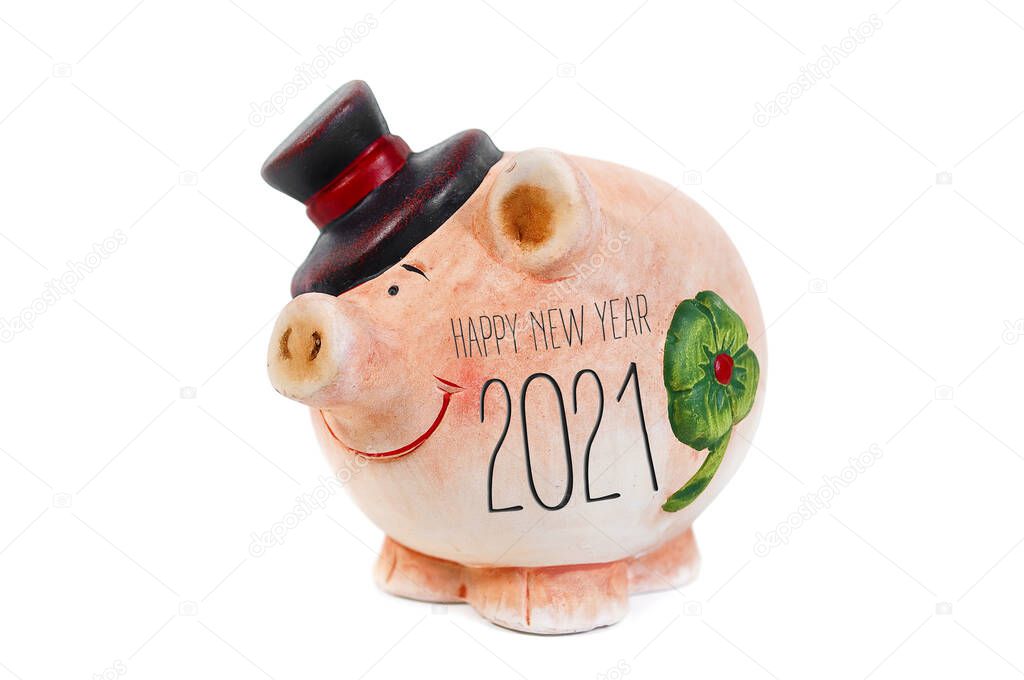 Miniature pig isolated with happy new year 2021 and german translation frohes neues jahr 2021