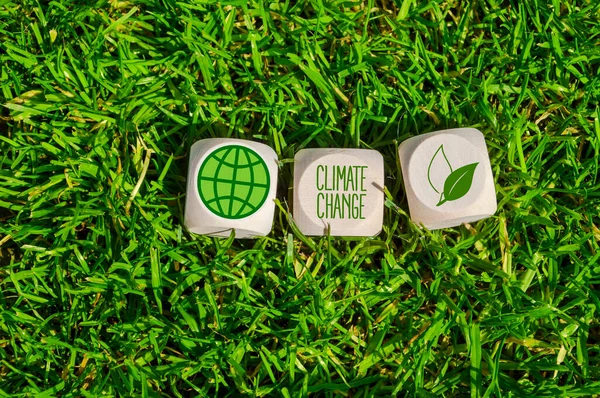 Cubos Dados Bloques Con Cambio Climático Hierba Verde — Foto de Stock