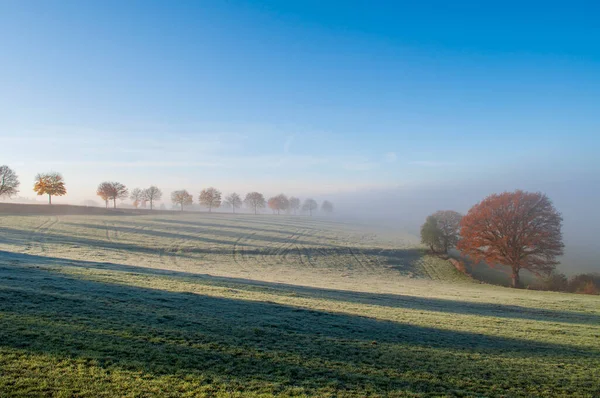 Hösten Säsongens Landskap Tidig Kall Morgon Med Dimma Och Klarblå — Stockfoto