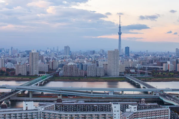 Vista sulla città di Tokyo — Foto Stock