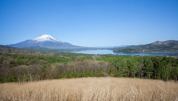 Montagna Fuji e lago yamanakako — Foto Stock