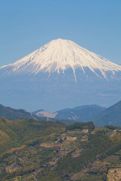 Mountain Fuji in spring season — Stock Photo, Image
