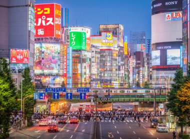 Tokyo Shinjuku tren istasyonu