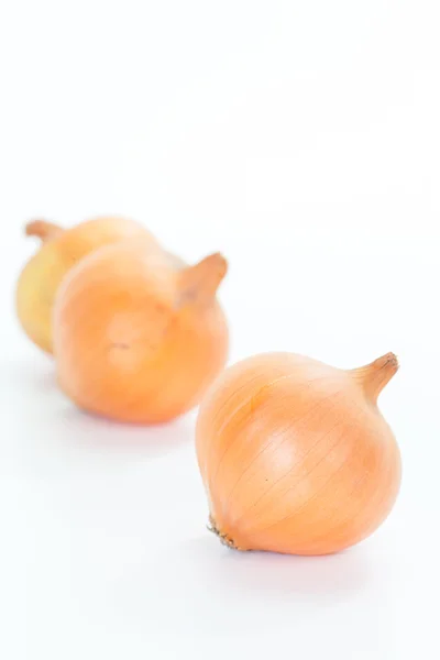 Kleine frische Goldzwiebeln — Stockfoto