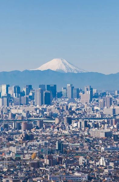 Tokyo şehir manzaralı ve Fuji Dağı — Stok fotoğraf