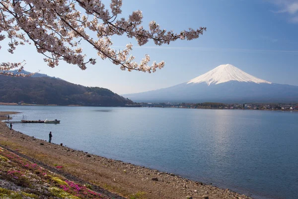 Top of Mountain Fuji — Stock Photo, Image