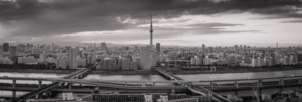 Tokyo city view — Stock Photo, Image