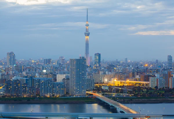 Widok na miasto Tokio — Zdjęcie stockowe