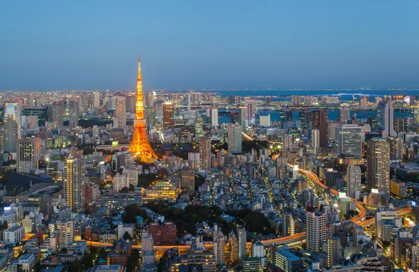 Vista sulla città di Tokyo — Foto Stock