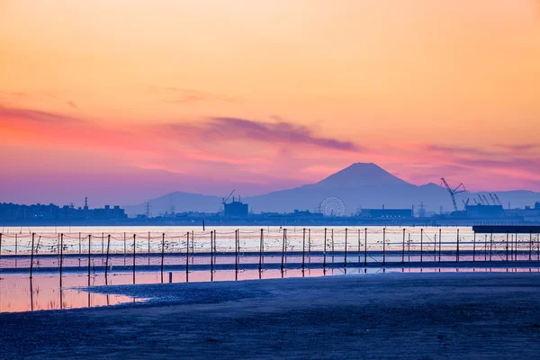 Tokyo bay and Mountain Fuji — Stock Photo, Image