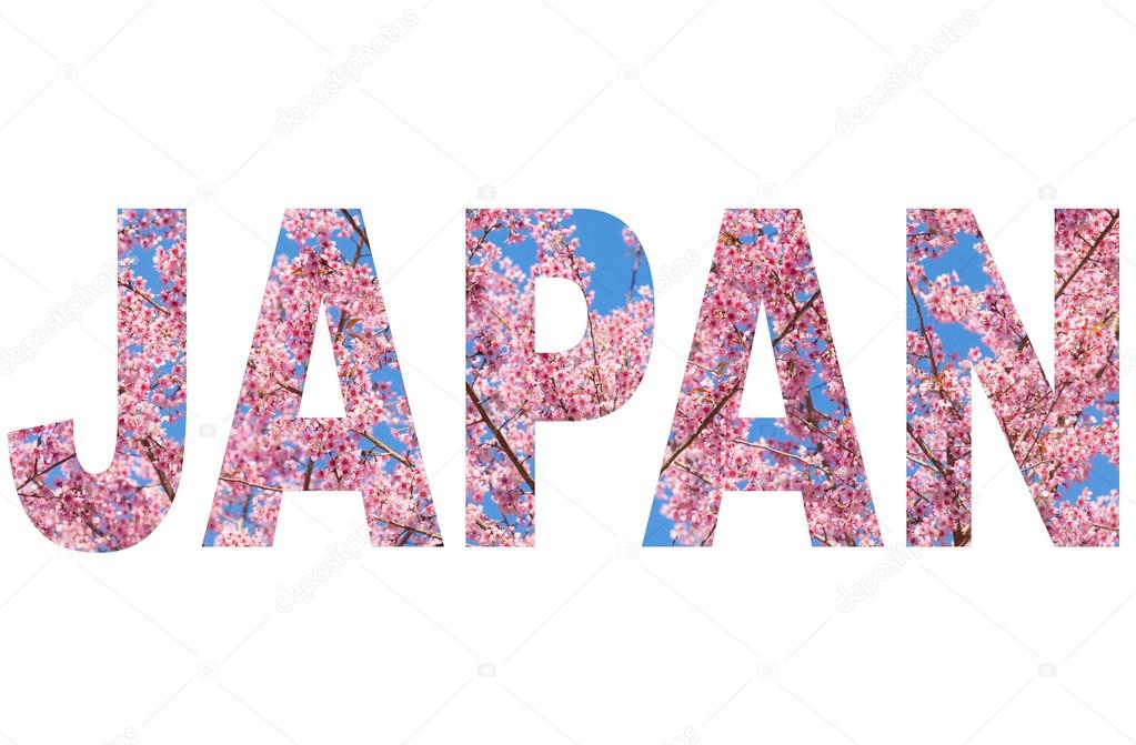 Image result for Japan name