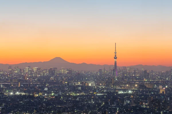 Tokio miasto widok i góra Fuji — Zdjęcie stockowe