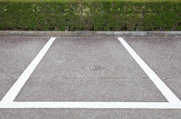 Parcheggio con fiore che cade — Foto Stock