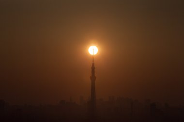  Tokyo ağaç gökyüzü ve güneş