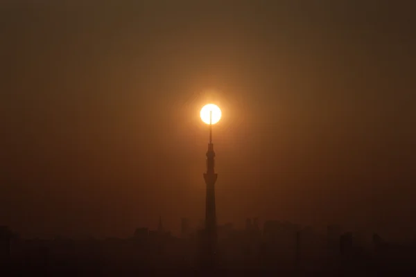 Tokio cielo árbol y sol — Foto de Stock