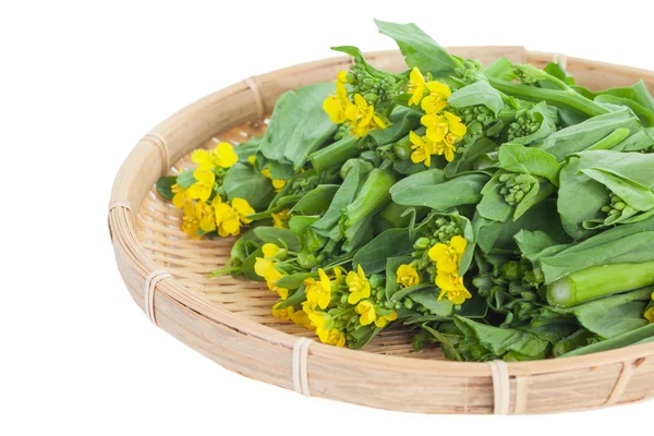 黄色開花菜の花 — ストック写真