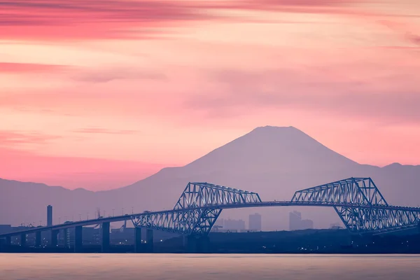 Токийский залив на закате — стоковое фото