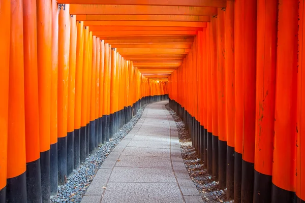 Porte vermiglio torii — Foto Stock