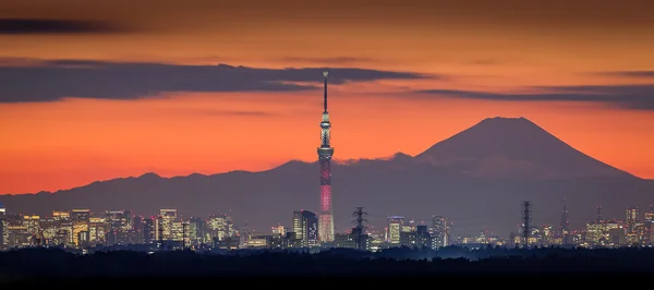 Berg-Fuji und Tokio-Skytree — Stockfoto