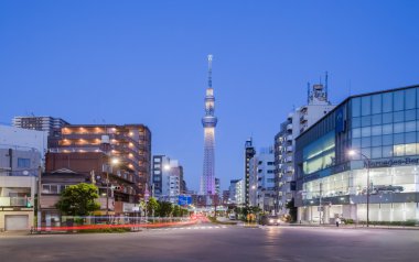 Tokyo bina görünümü