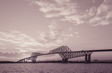 Tokyo gate Köprüsü 