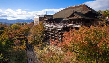 Ahşap bir pavilian ve sonbahar ağacı 