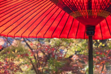 Japon, Japon kırmızı umbellra 