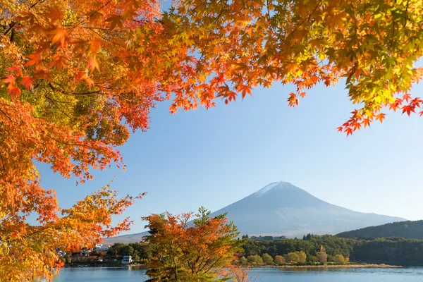 Autumn tree and Mountain Fuji — Stock Photo, Image