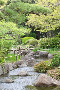 Doğal yeşil Japon bahçesi 