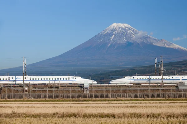 Utsikt över Mt Fuji och — Stockfoto