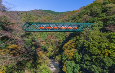 Demiryolu Köprüsü ve tren Sonbahar sezonu