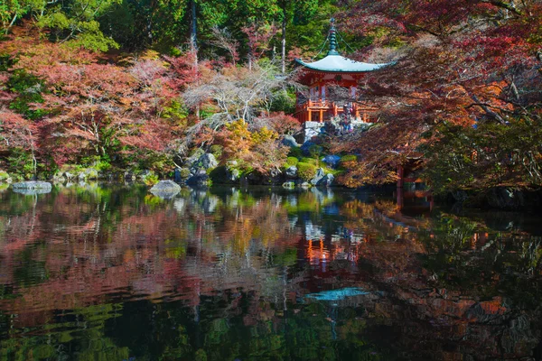 Magnifique jardin japonais en automne — Photo