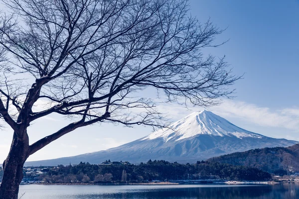 Mt.Fuji Gölü Kawaguchiko — Stok fotoğraf