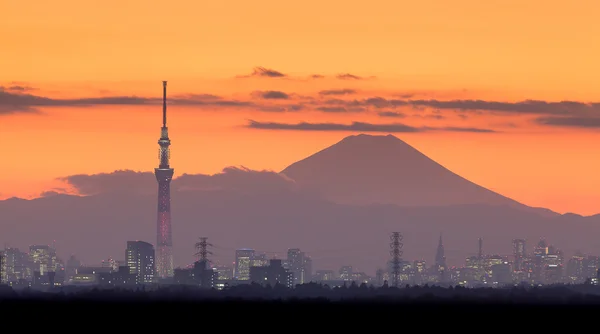 Vista nocturna de Tokio con el Monte Fuji — Foto de Stock