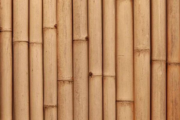 Kahverengi bambu çit deseni ve pürüzsüz arka plan