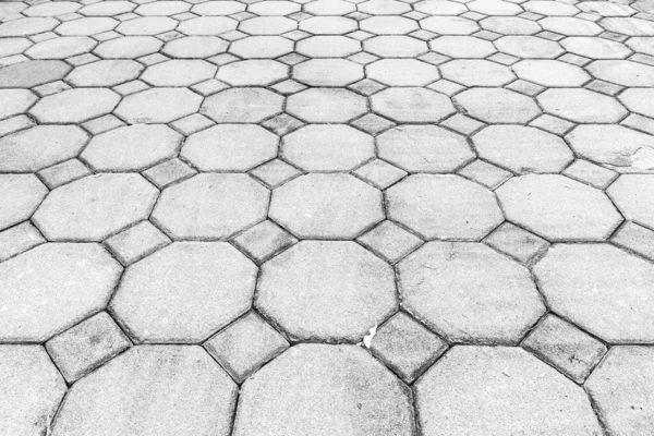 Perspective View Monotone White Brick Stone Pavement Ground Street Road — Stock Photo, Image