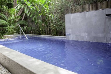 Küçük bir yüzme havuzu ve havuz kenarında küçük bir bahçe..