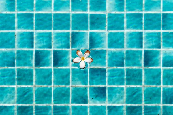 这些花漂浮在旅馆里游泳池边的水里 — 图库照片