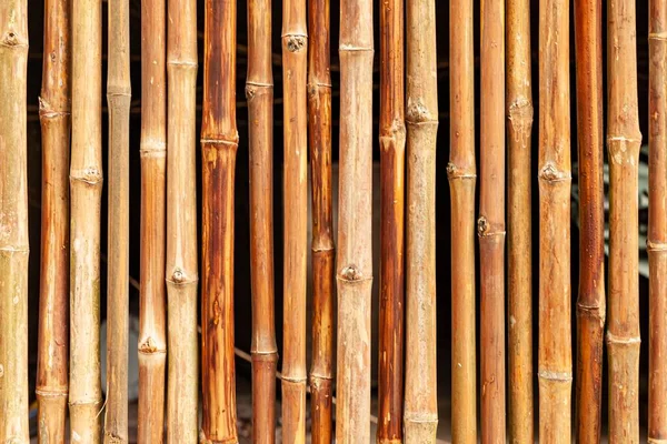 Brown Old Bamboo Ward Texture Background Seamless — стокове фото