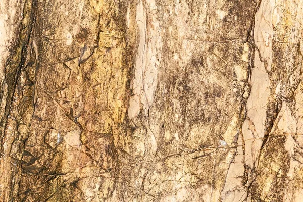 Struktura Žulového Kamene Kamenná Textura Hnědém Mramorovém Tónu Textury Pozadí — Stock fotografie