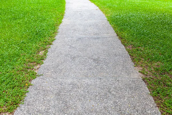 Chemin Pierre Naturelle Blanche Pelouse Verte — Photo