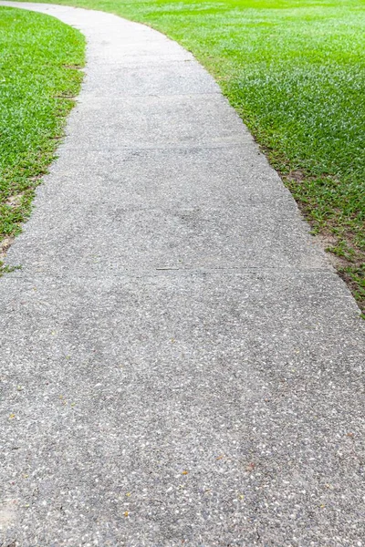 Longue Passerelle Béton Dans Jardin Vert Été — Photo