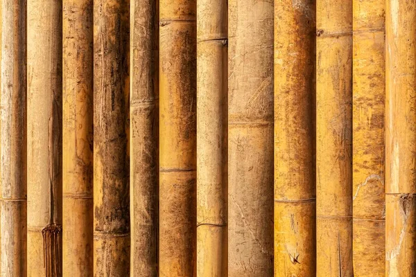 Brun Gammal Bambu Staket Struktur Och Bakgrund Sömlös — Stockfoto