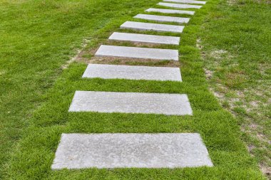 Bahçedeki yeşil çimlerde desenli gri granit kaldırımlar.