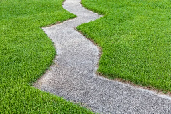 Lunga Passerella Cemento Nel Giardino Verde Estivo — Foto Stock