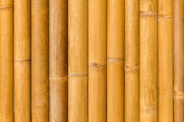 Kahverengi eski Bambu çit dokusu ve arka plan pürüzsüz.