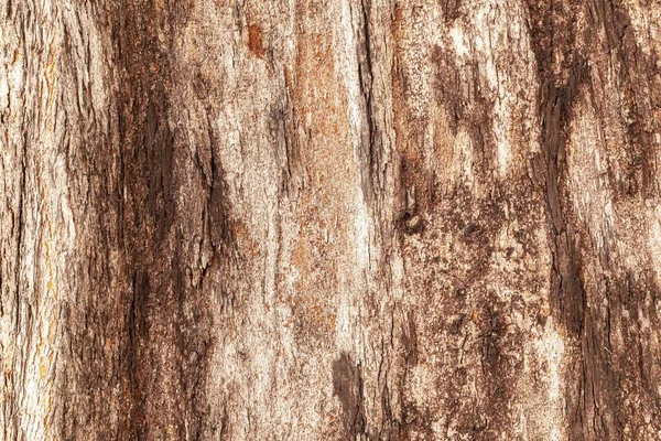 Cracks Tree Bark Texture Background Seamless — Stock Photo, Image