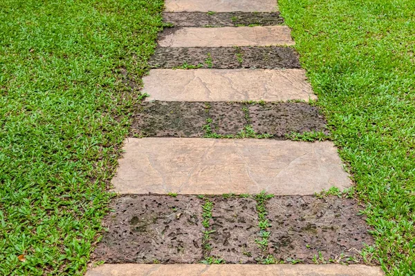 Pasarela Piedra Laterita Dentro Del Césped Verde — Foto de Stock