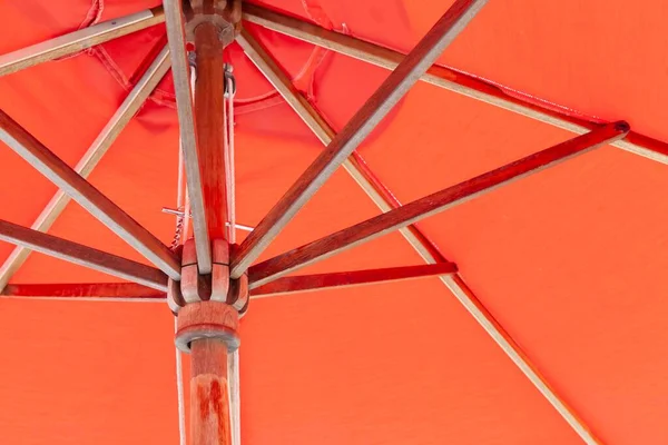 Detailní Světle Hnědý Stonek Zahradní Deštník — Stock fotografie